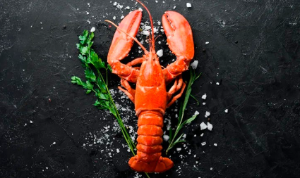 What makes fresh lobster such a memorable coastal dining experience?